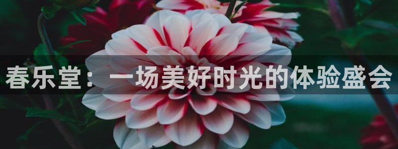 众腾娱乐