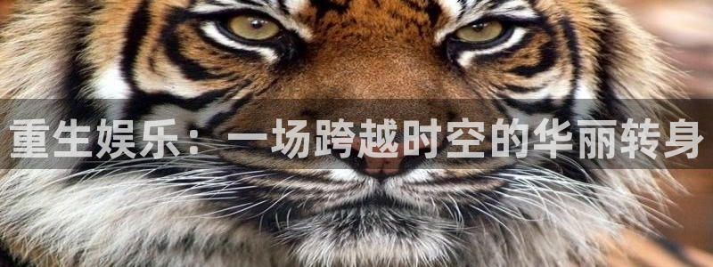 众腾娱乐