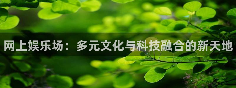 众腾娱乐