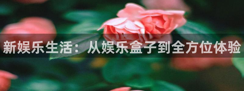 众腾娱乐
