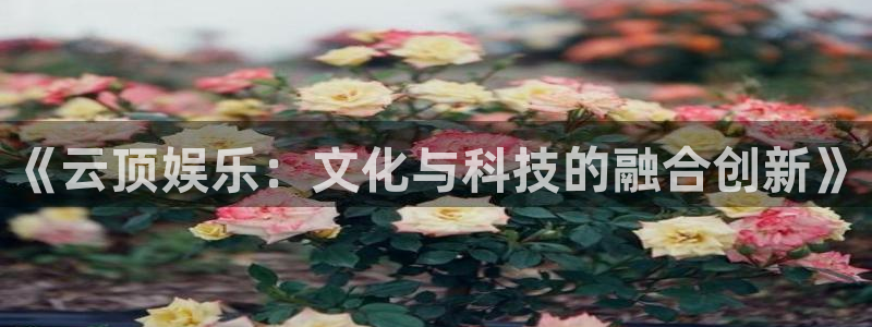众腾娱乐