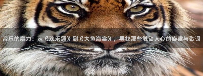 众腾娱乐