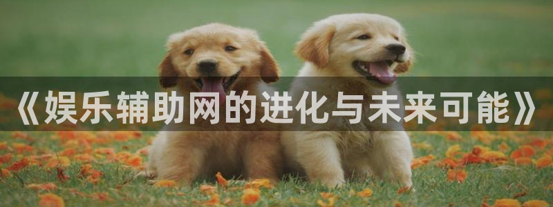 众腾娱乐