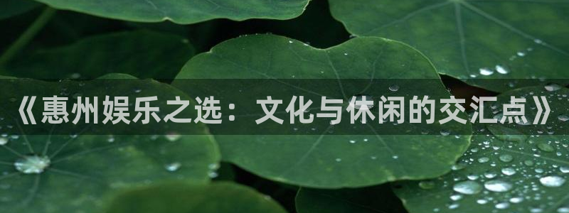 众腾娱乐